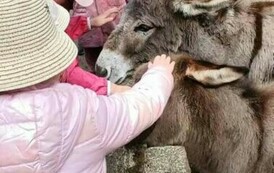 Wycieczka do Ogrodu Zoologicznego 13