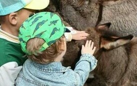 Wycieczka do Ogrodu Zoologicznego 22