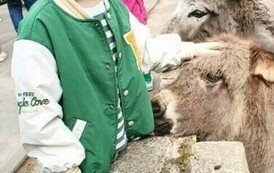Wycieczka do Ogrodu Zoologicznego 23