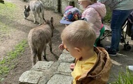 Wycieczka do Ogrodu Zoologicznego 27