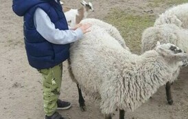 Wycieczka Kacperkowo 10