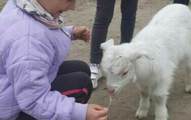 Wycieczka Kacperkowo 13