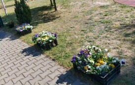 Ogr&oacute;dek kwiatowy 5