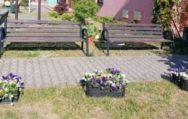 Ogr&oacute;dek kwiatowy 8