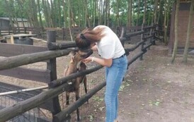 Dzień Mamy i taty w Brykolandii 10