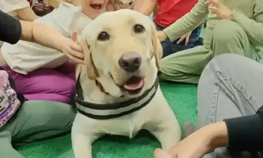 Zdjęcie do DOGOTERAPIA